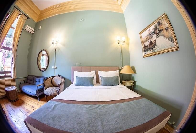 豪华园景房, Büyükada Anastasia Meziki History Mansion