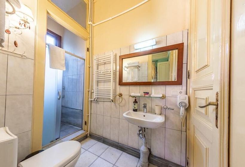 豪华园景房, Büyükada Anastasia Meziki History Mansion