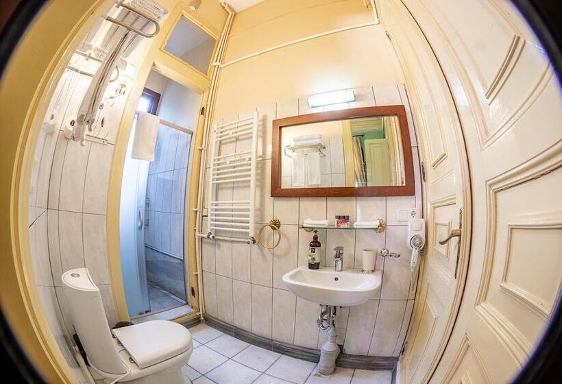 豪华园景房, Büyükada Anastasia Meziki History Mansion