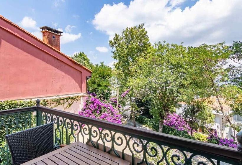 两卧家庭套房, Büyükada Anastasia Meziki History Mansion