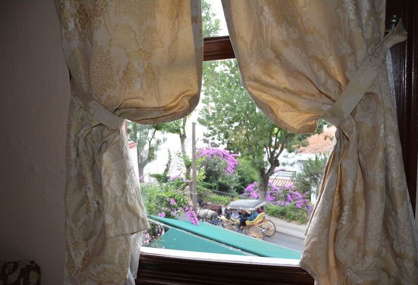 סוויטה משפחתית 2 חדרי שינה, Büyükada Anastasia Meziki History Mansion