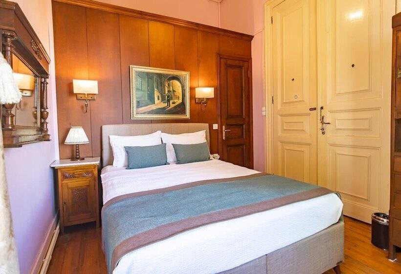 可观海景的舒适型房间, Büyükada Anastasia Meziki History Mansion