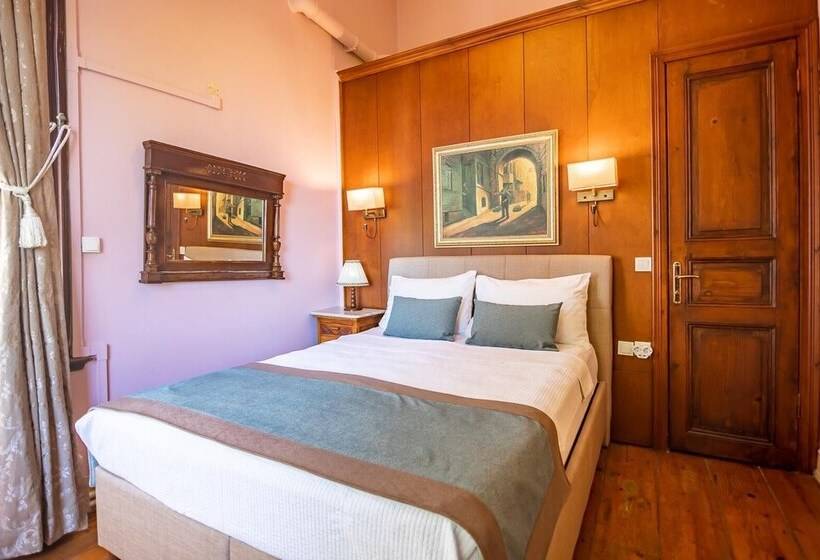 可观海景的舒适型房间, Büyükada Anastasia Meziki History Mansion
