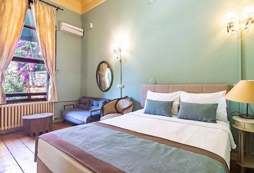 豪华园景房, Büyükada Anastasia Meziki History Mansion