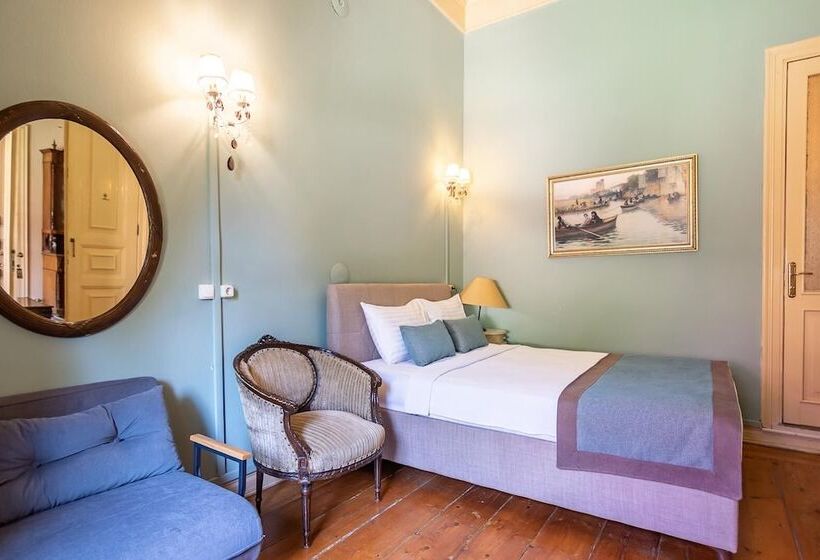 豪华园景房, Büyükada Anastasia Meziki History Mansion