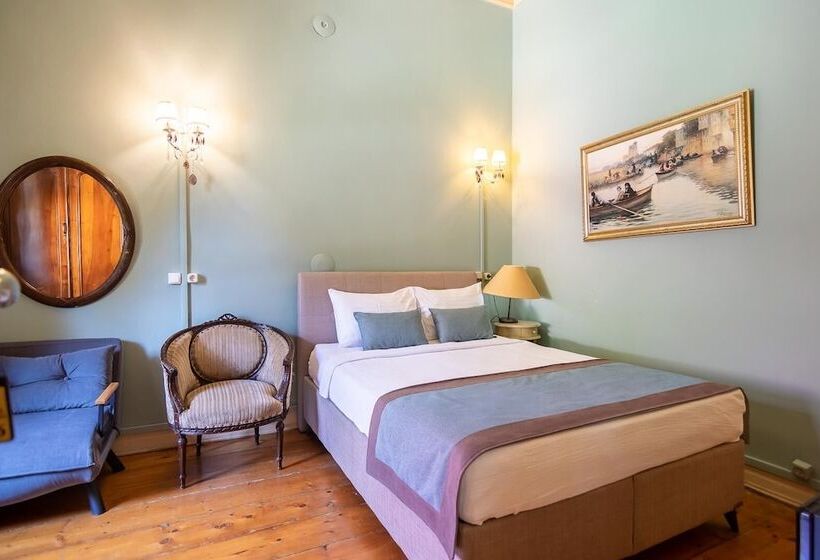 豪华园景房, Büyükada Anastasia Meziki History Mansion