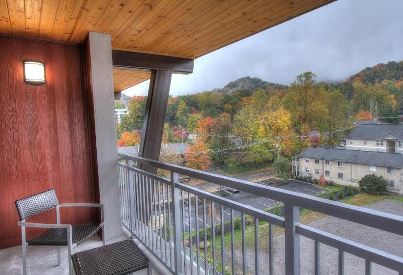 חדר סטודיו סטנדרד, Courtyard By Marriott Gatlinburg Downtown