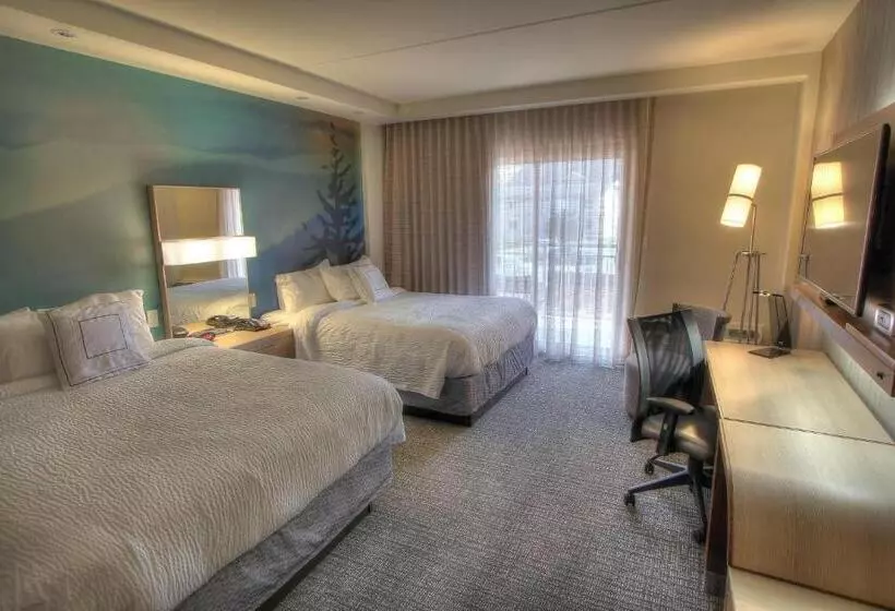 Standard-studio, Courtyard By Marriott Gatlinburg Downtown