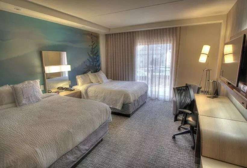 Standard-huone 2 Parivuodetta, Courtyard By Marriott Gatlinburg Downtown