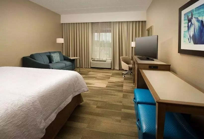 キングサイズベッドのスタンダードルーム, Hampton Inn & Suites Baltimore North/timonium