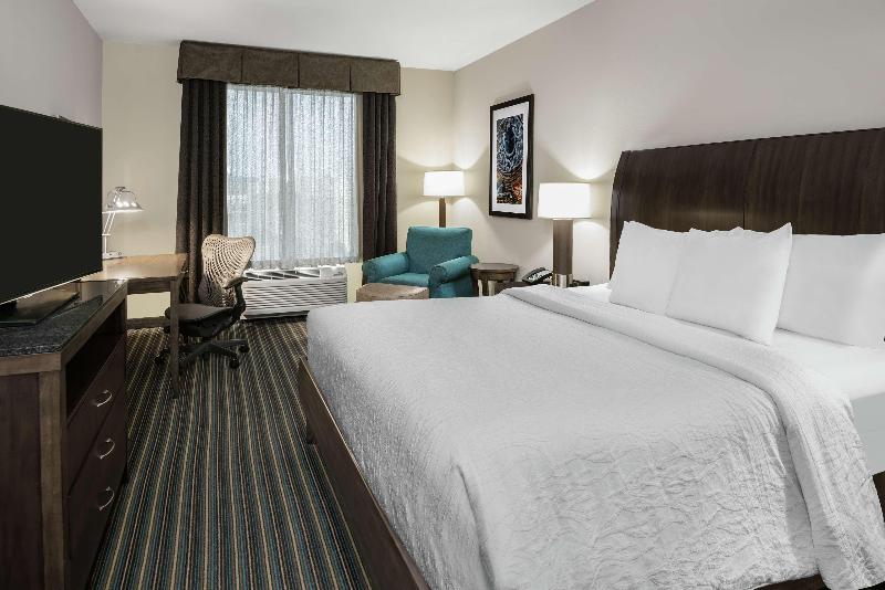 キングサイズベッドのスタンダードルーム, Hilton Garden Inn San Antonio At The Rim