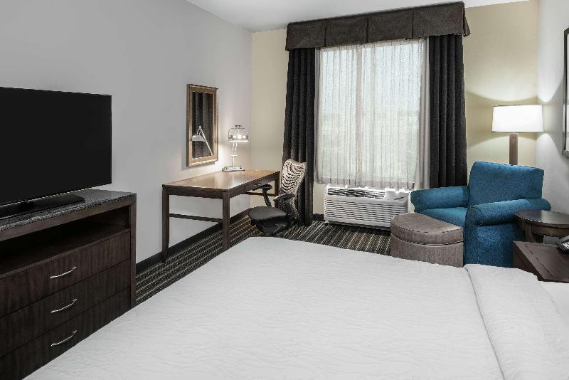 キングサイズベッドのスタンダードルーム, Hilton Garden Inn San Antonio At The Rim