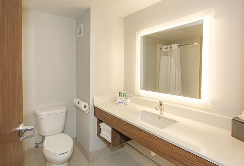 장애인을 위한 스위트, Holiday Inn Express & Suites Pittsburgh North Shore, An Ihg