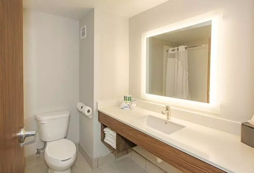 身障者適用スイートルーム, Holiday Inn Express & Suites Pittsburgh North Shore, An Ihg