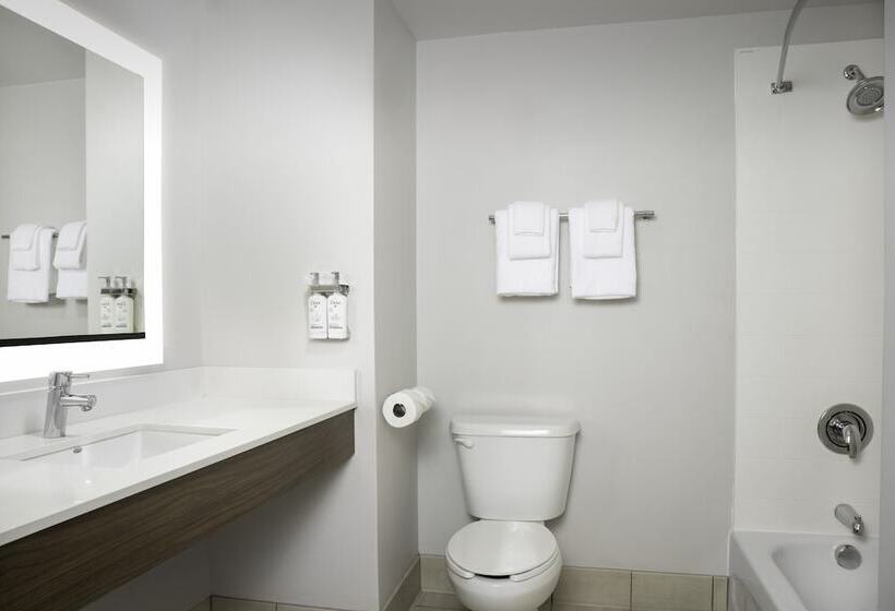 스위트, Holiday Inn Express & Suites Pittsburgh North Shore, An Ihg