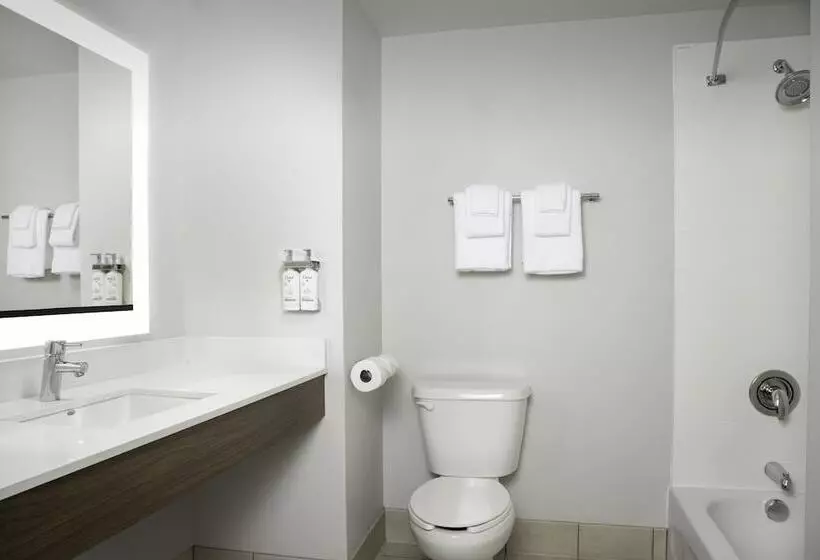 スイート, Holiday Inn Express & Suites Pittsburgh North Shore, An Ihg