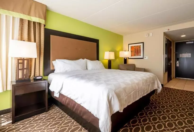 キングサイズベッドのスタンダードルーム, Holiday Inn Murfreesboro, An Ihg
