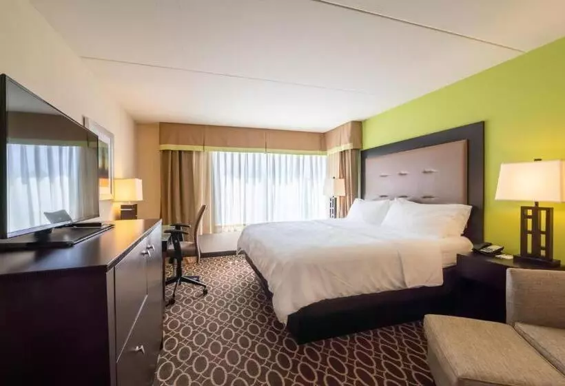 キングサイズベッドのスタンダードルーム, Holiday Inn Murfreesboro, An Ihg