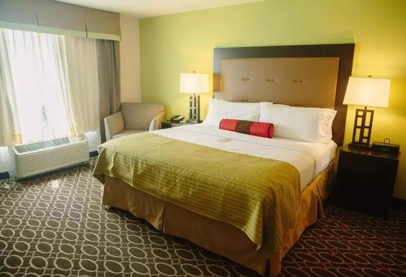 キングサイズベッドのスタンダードルーム, Holiday Inn Murfreesboro, An Ihg