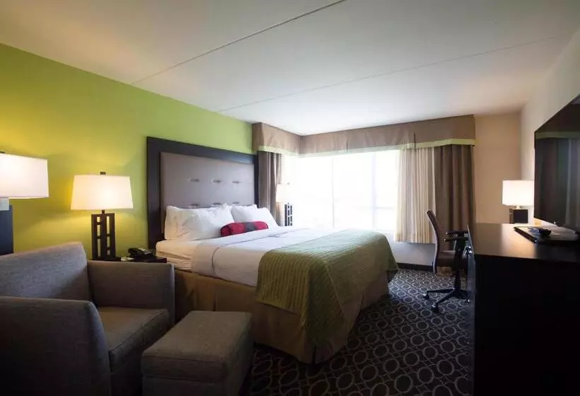 キングサイズベッドのスタンダードルーム, Holiday Inn Murfreesboro, An Ihg