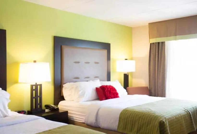 スタンダードルーム, Holiday Inn Murfreesboro, An Ihg