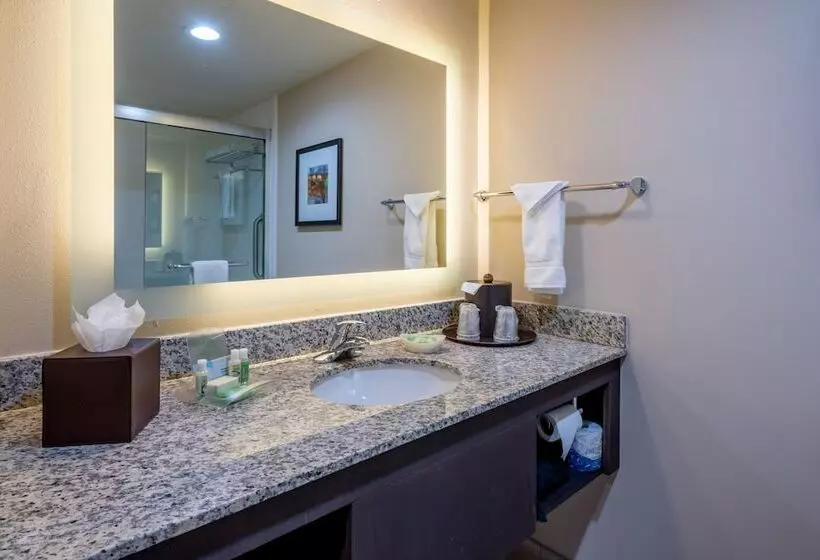 スイート, Holiday Inn Murfreesboro, An Ihg