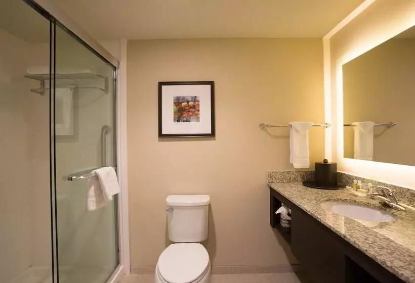 スイート, Holiday Inn Murfreesboro, An Ihg