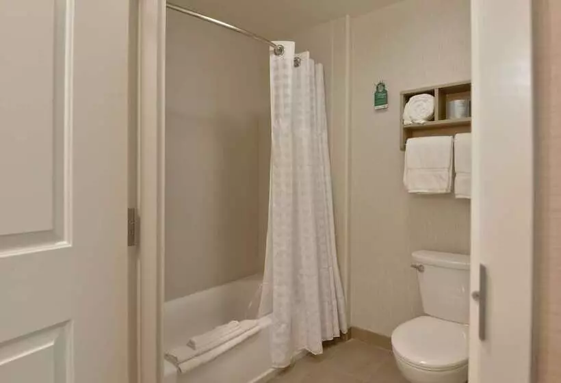 スイート, Homewood Suites By Hilton Anaheim Resort – Convention Center