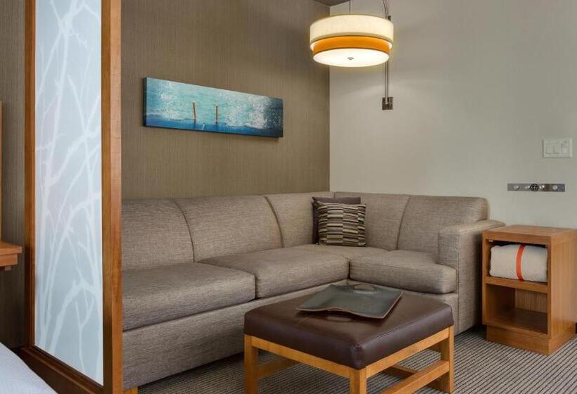 اتاق استاندارد با تخت بزرگ, Hyatt Place Chicago/downtown   The Loop