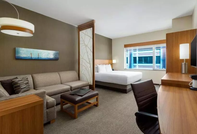 Standard-huone King-vuode, Hyatt Place Chicago/downtown   The Loop