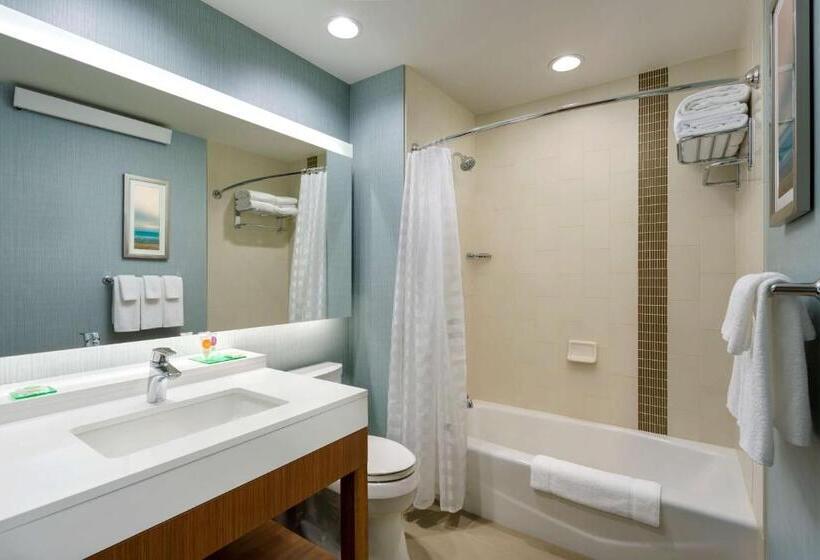 اتاق استاندارد با چشم‌انداز, Hyatt Place Chicago/downtown   The Loop