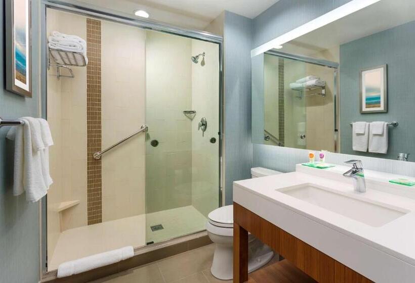 اتاق استاندارد با چشم‌انداز, Hyatt Place Chicago/downtown   The Loop