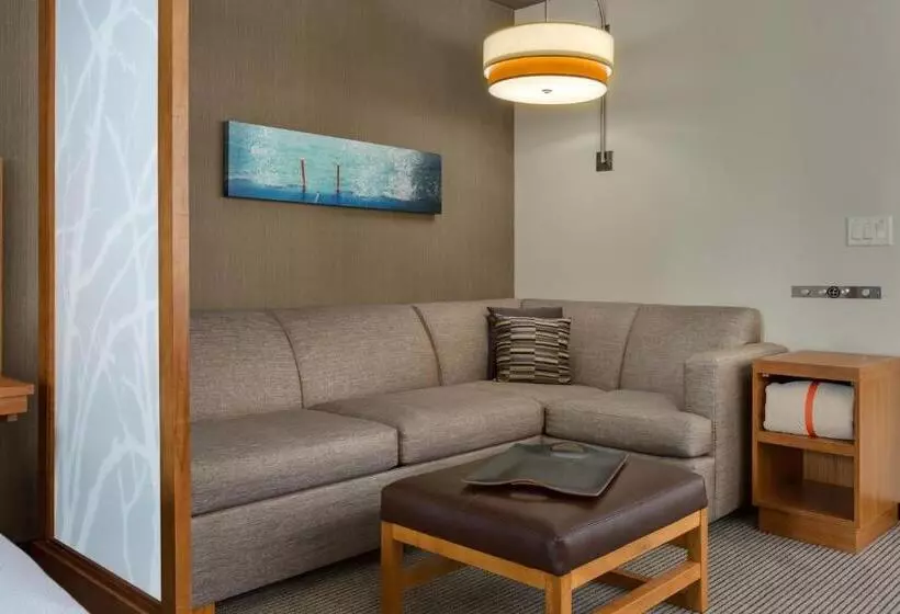Standard-invahuone, Hyatt Place Chicago/downtown   The Loop