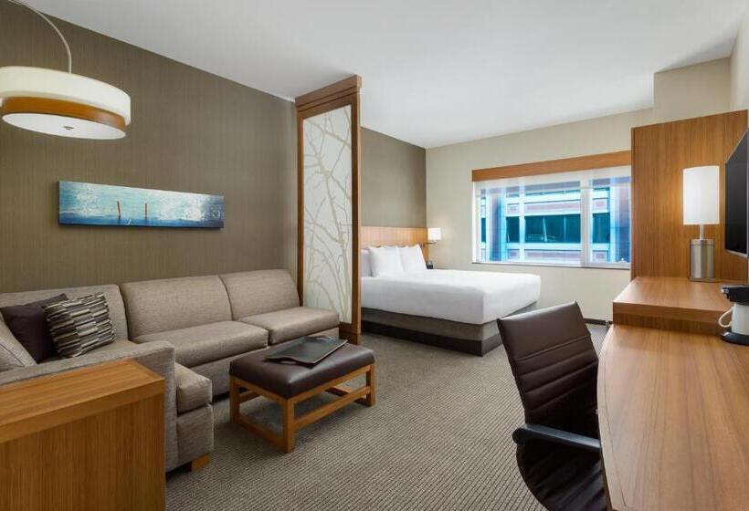 اتاق استاندارد برای معلولان, Hyatt Place Chicago/downtown   The Loop