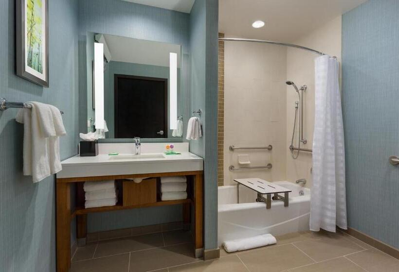 Standard Værelse King-seng Tilpasset til Handicappede, Hyatt Place Chicago/downtown   The Loop