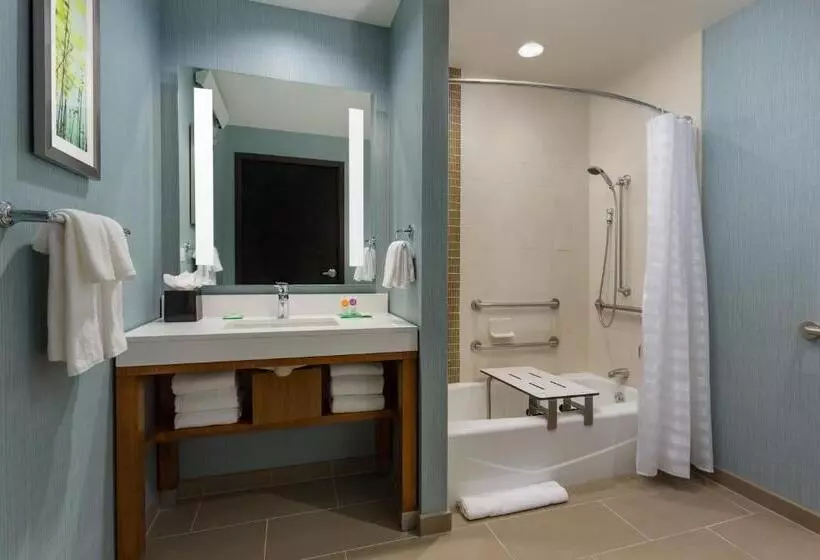 Standard-invahuone King-vuode, Hyatt Place Chicago/downtown   The Loop