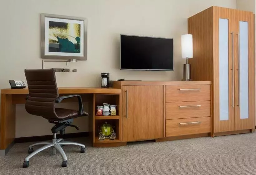 Standard-invahuone King-vuode, Hyatt Place Chicago/downtown   The Loop