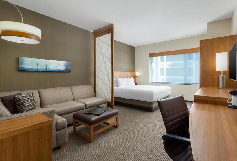 اتاق استاندارد با تخت بزرگ برای معلولان, Hyatt Place Chicago/downtown   The Loop