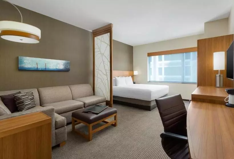 Standard-invahuone King-vuode, Hyatt Place Chicago/downtown   The Loop