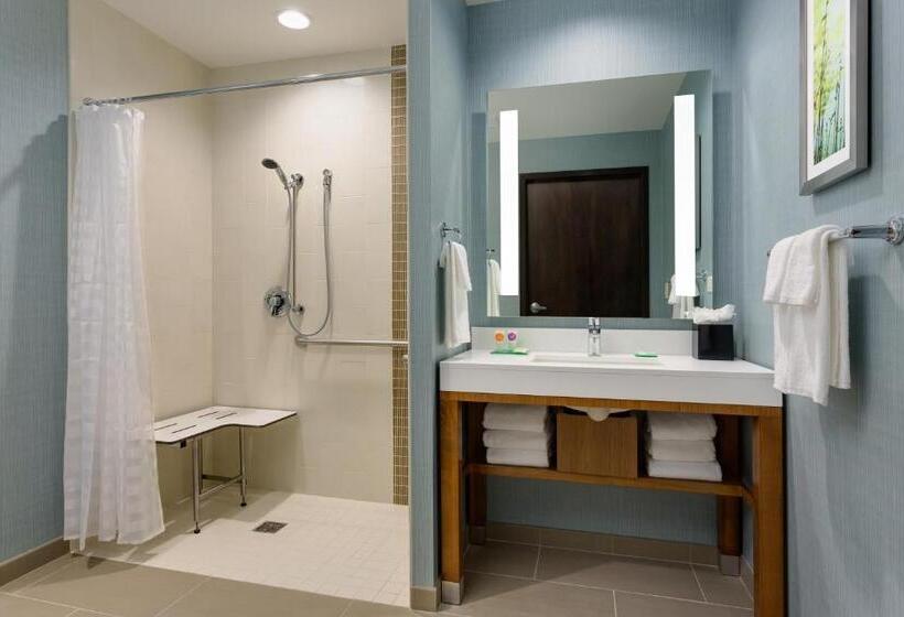 اتاق استاندارد برای معلولان, Hyatt Place Chicago/downtown   The Loop