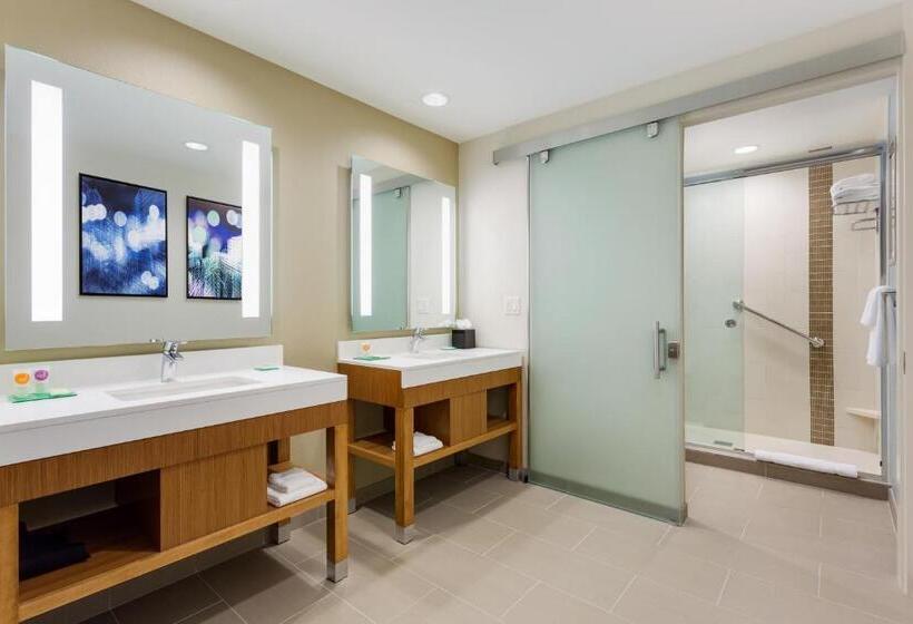 اتاق استاندارد با تخت بزرگ, Hyatt Place Chicago/downtown   The Loop