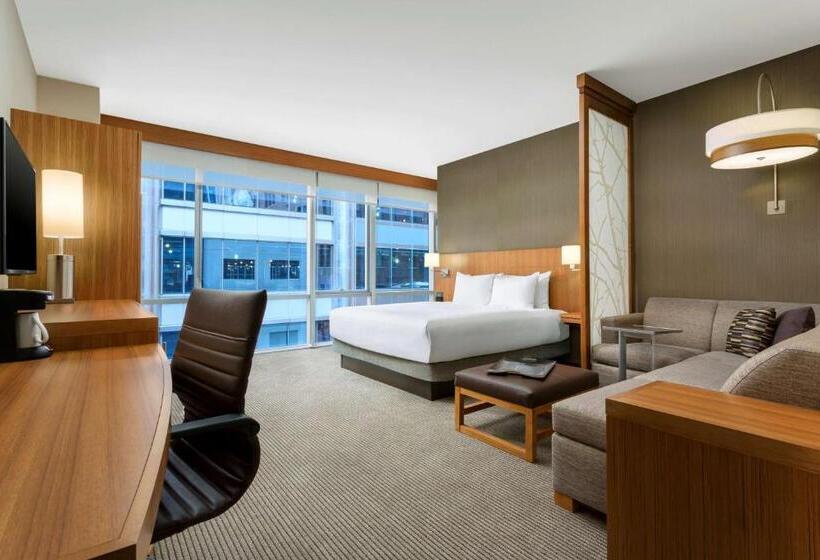 اتاق استاندارد با تخت بزرگ, Hyatt Place Chicago/downtown   The Loop