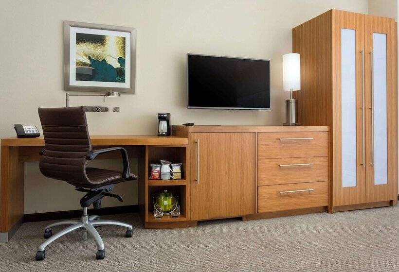 Standard Værelse Tilpasset til Handicappede, Hyatt Place Chicago/downtown   The Loop