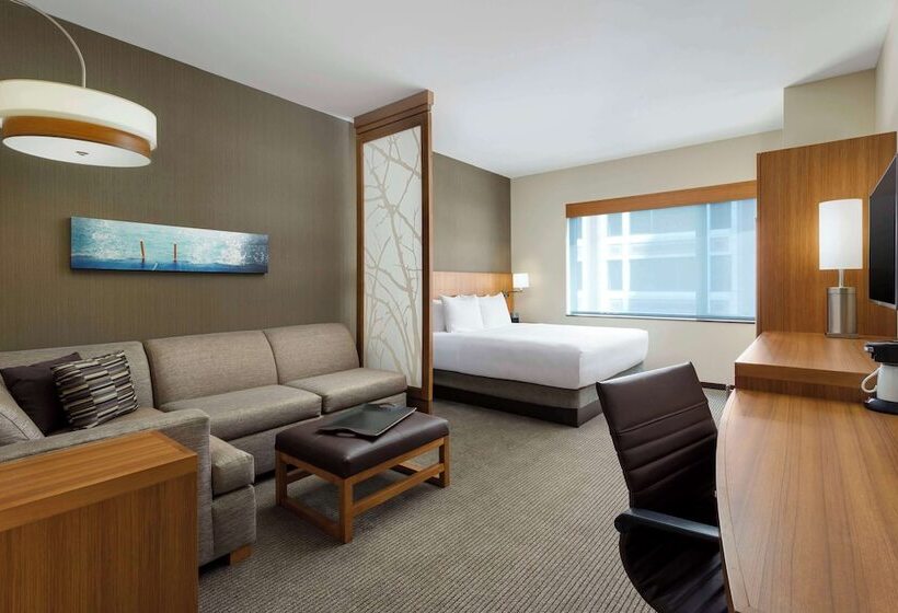 اتاق استاندارد برای معلولان, Hyatt Place Chicago/downtown   The Loop
