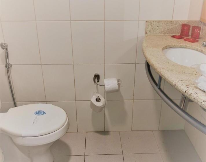 חדר סטנדרט, Ibis Belo Horizonte Savassi