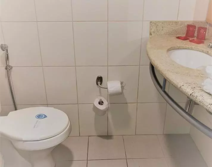 スタンダードルーム, Ibis Belo Horizonte Savassi