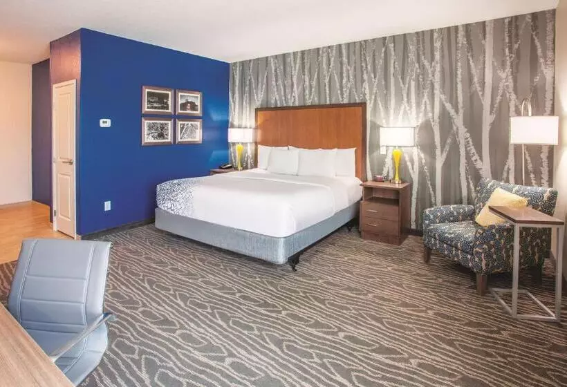 身障者適用キングサイズベッドルーム, La Quinta By Wyndham Duluth