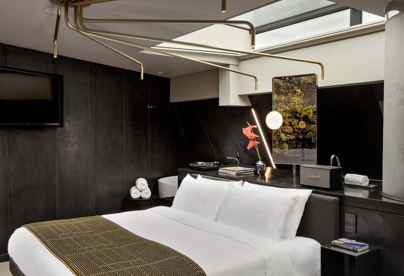 جناح, W Amsterdam