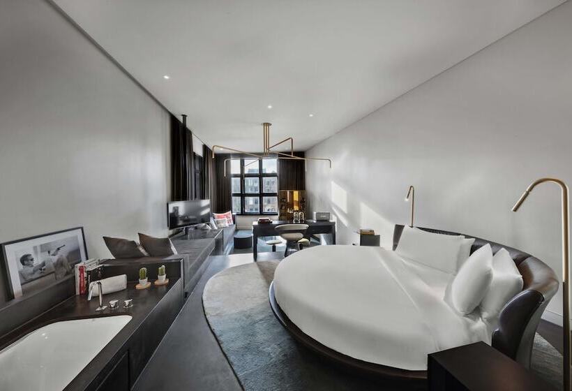 إستوديو قياسى ذو إطلالة, W Amsterdam