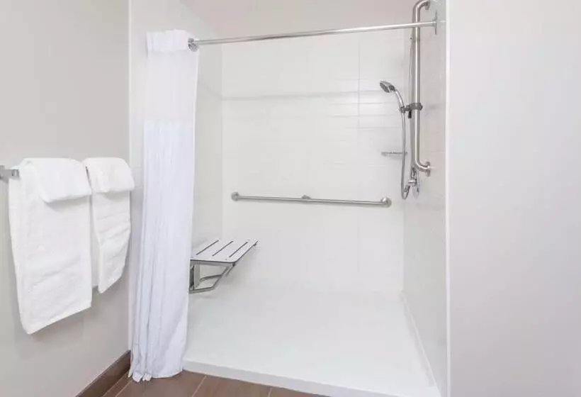 身障者適用クイーンサイズベッドルーム, Microtel Inn & Suites By Wyndham Fort Saint John